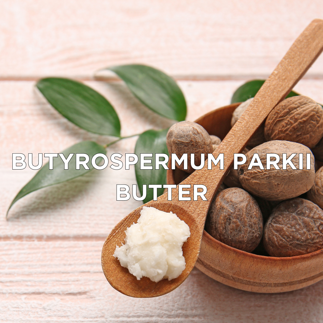 Butyrospermum Parkii Butter