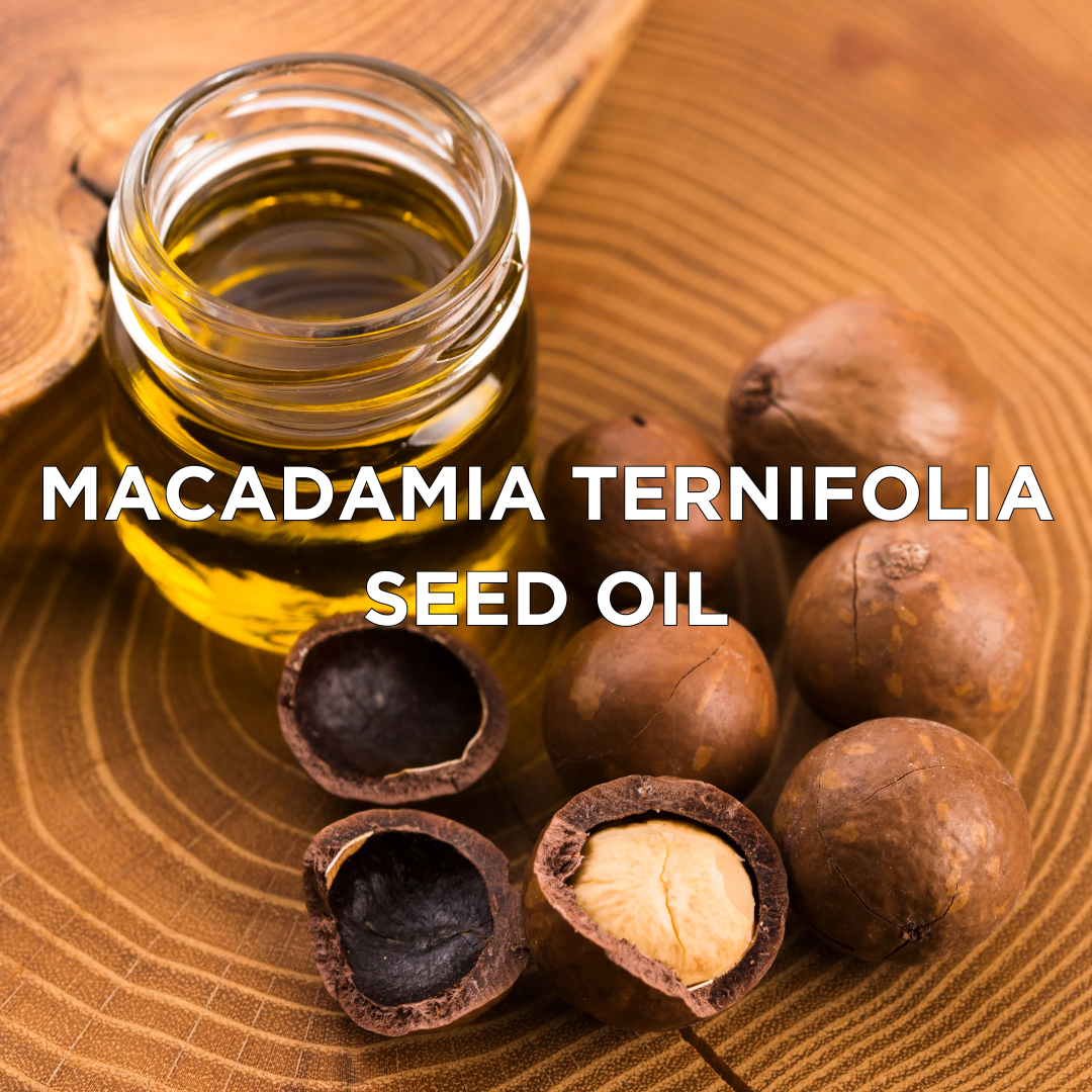 Macadamia Ternifolia Seed Oil