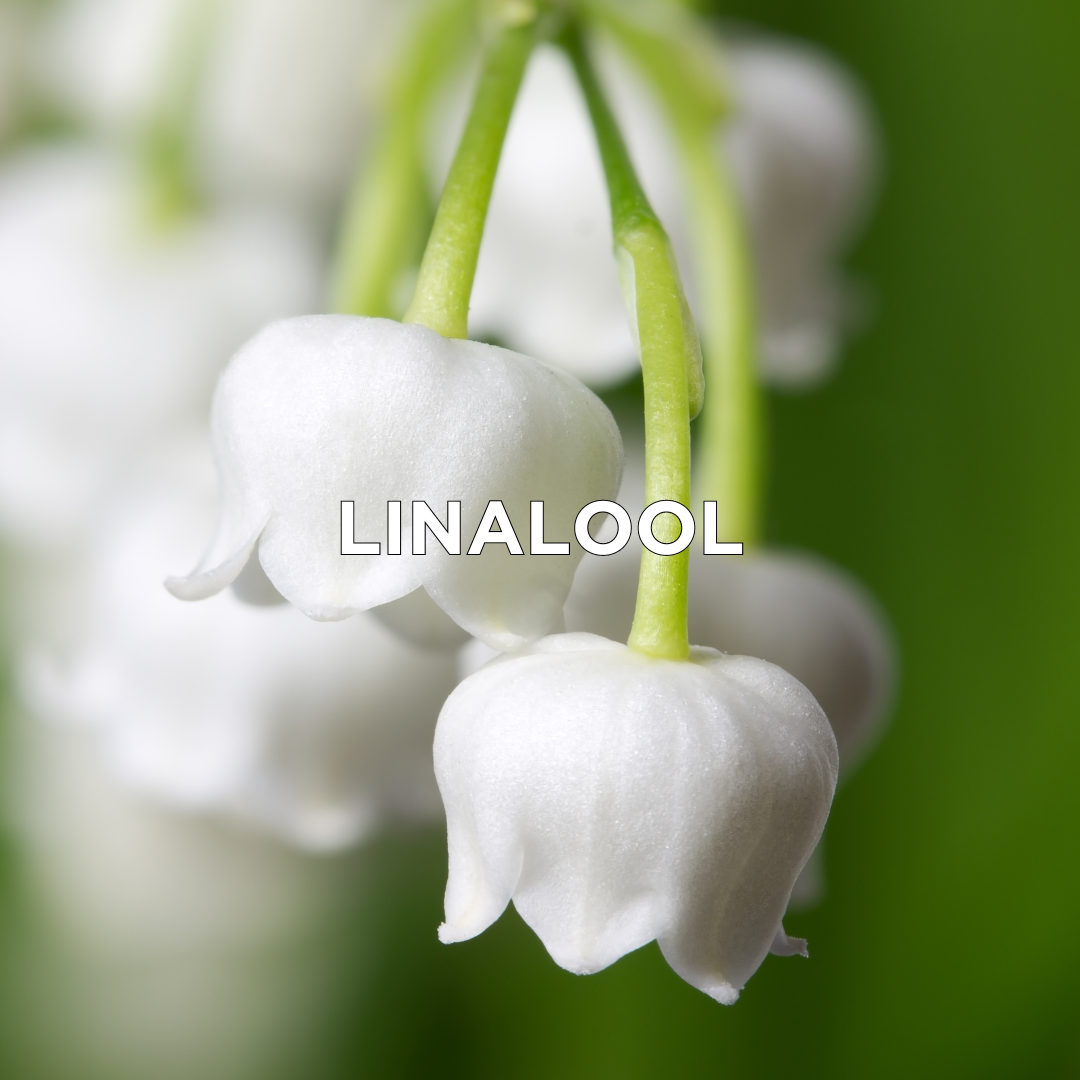 Linalool